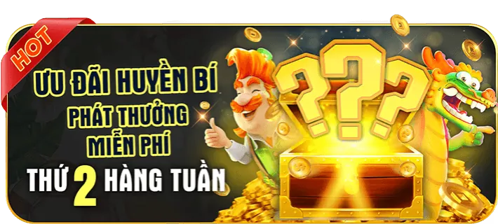 Bước 4: Bắt đầu săn cá